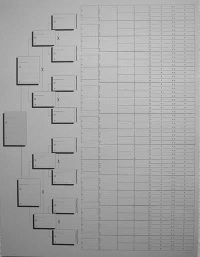 ARBRE BROUILLON 1.jpg
